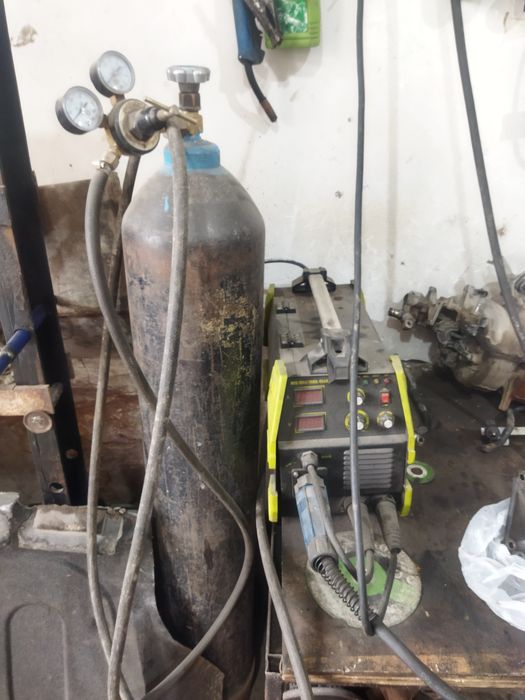 Kantachni sivarka kampilek