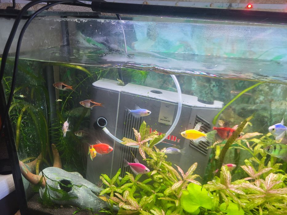 Аквариум 70 литров