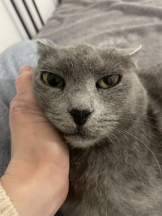 Stormi isi cauta casuta