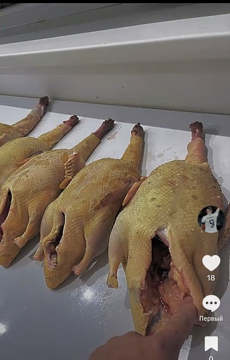 Тущка индаутка сатылады