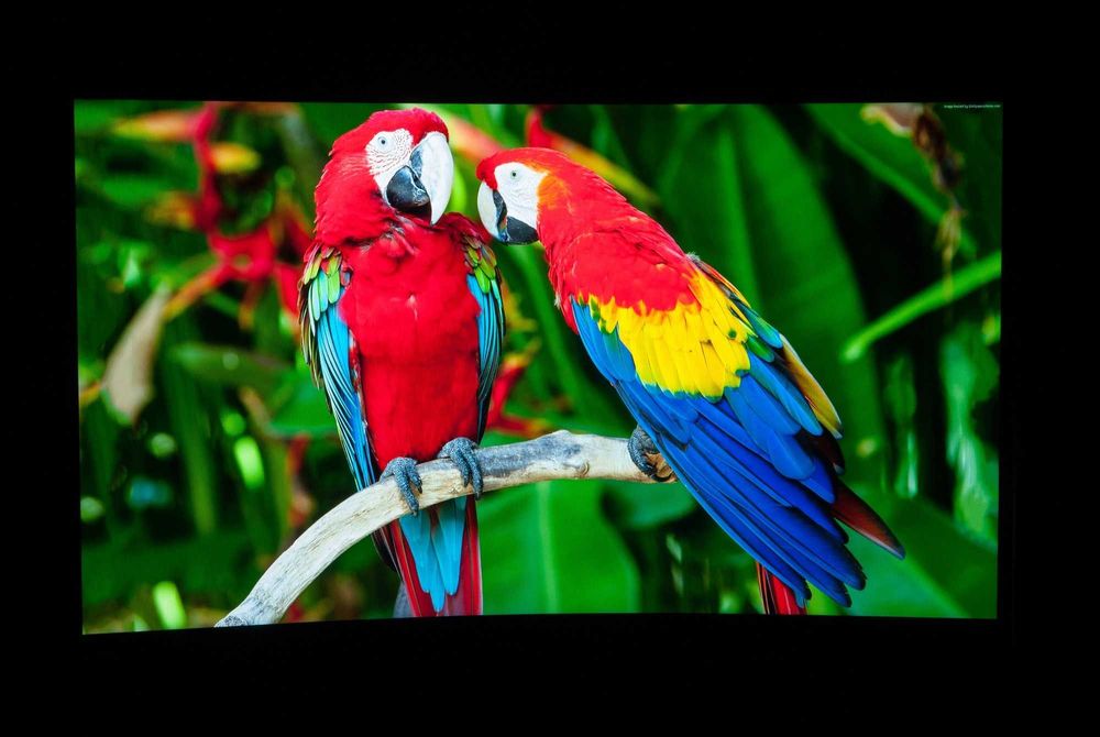 [ТОП] Современное 14 поколение Intel недорого!