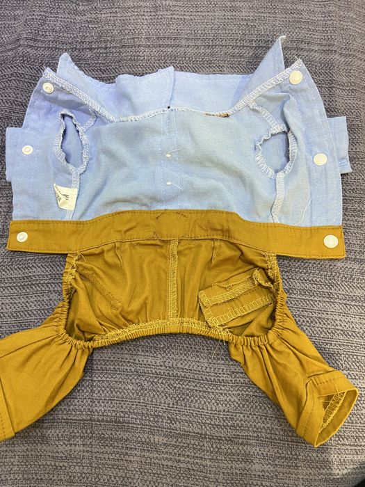 одежду для собаки или кошки