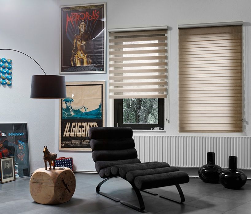 Jalyuzi, jaluzi, sifatli jalyuzilar, jalyuzi xizmatlari