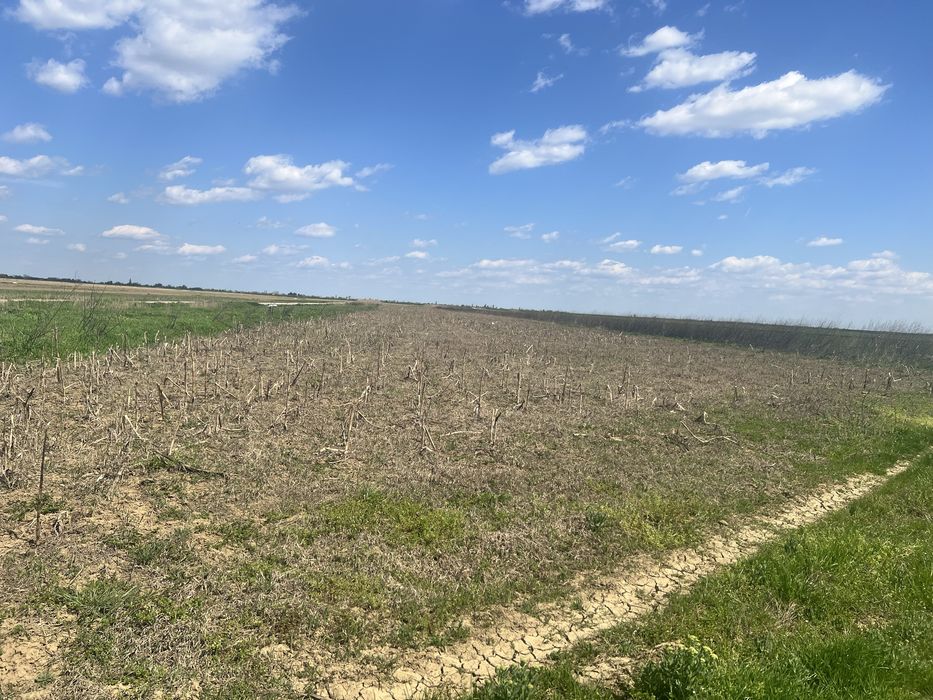 Teren agricol Slobozia Moară 8544 mp acces la drum asfaltat si la 1 km de DN7