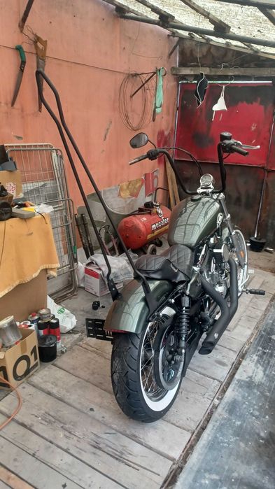 Harley davidson softail