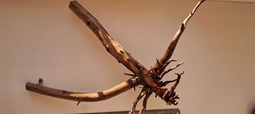 Коряга в аквариум