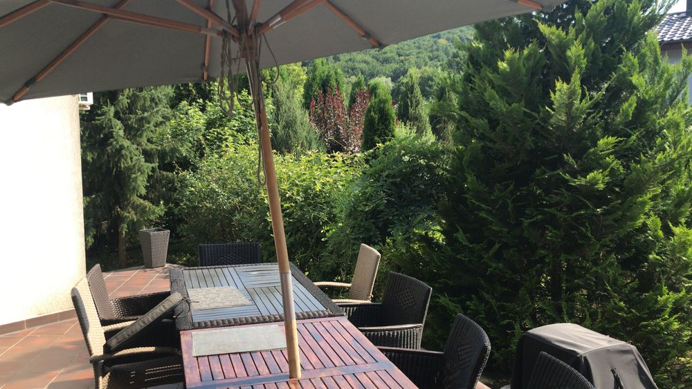 vilă/ cabana de lux in Valea Budului - Bacau