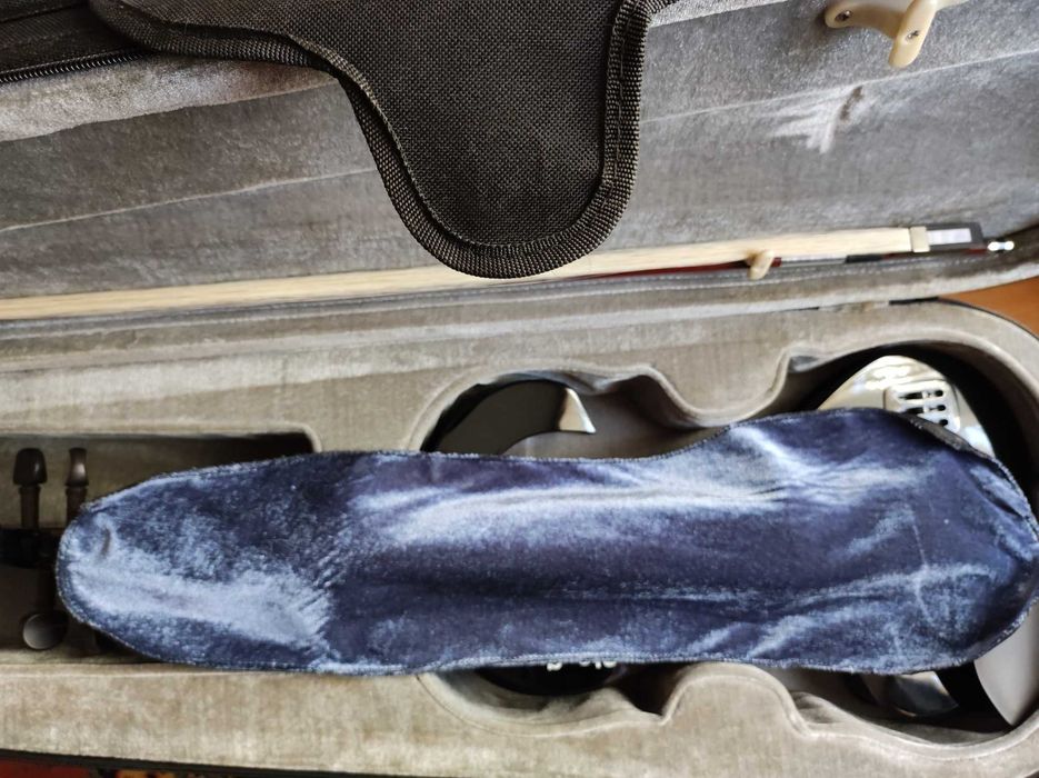 Електрическа Виола