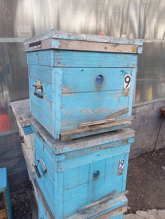 Продам улья системы дадан