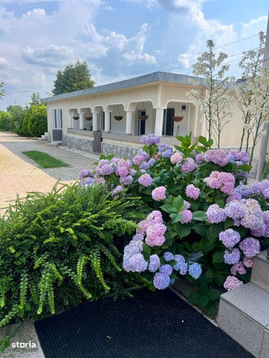 Casa visurilor cu 4000 mp livada roditoare si gradina Darmanesti-Arges