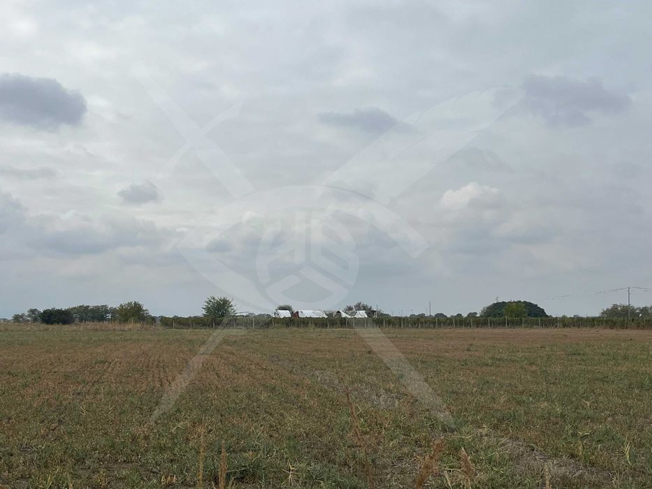 Продава се Парцел в Пловдив, Прослав - 5000 кв.м за 24 €/кв.м - Снимка #1