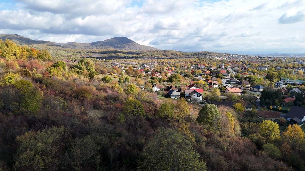 Teren 14.741 mp Tăuții-Măgherăuș | 11.103 mp intravilan