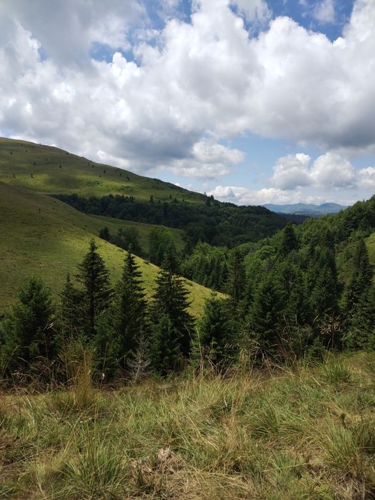 Afine de vânzare
