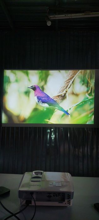 Videoproiector  Benq ,Epson,Acer