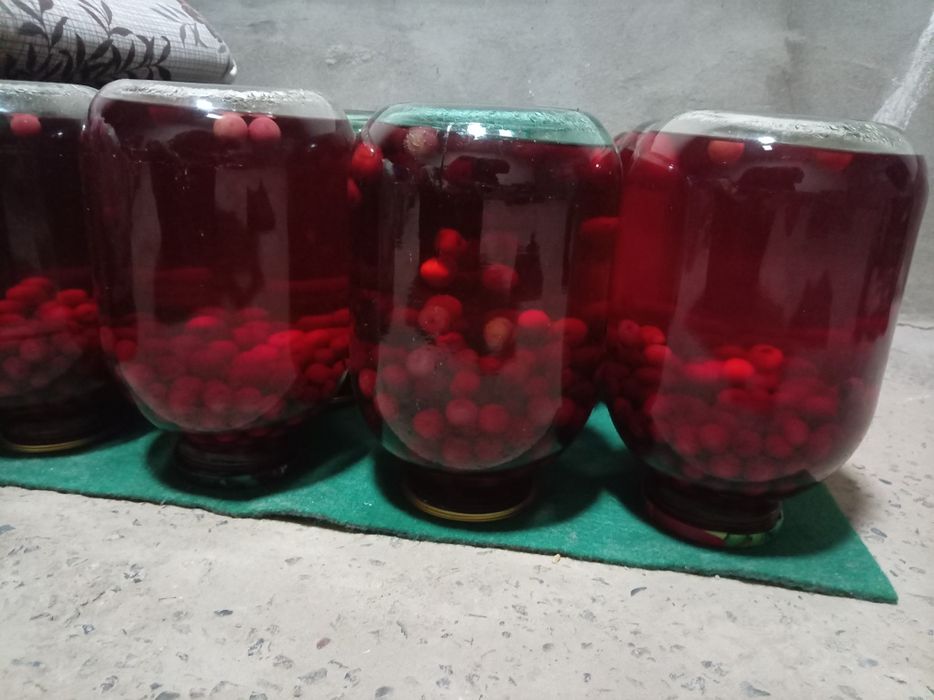 Kanserva kampotla ishonchli