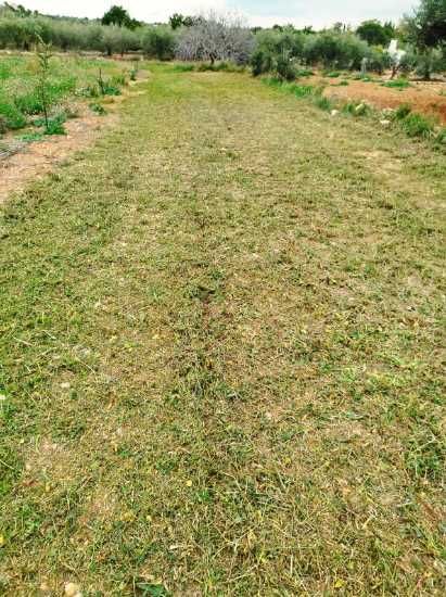 Tocatoare PROFESIONALE resturi vegetale pt tractoare intre 25-95 cai