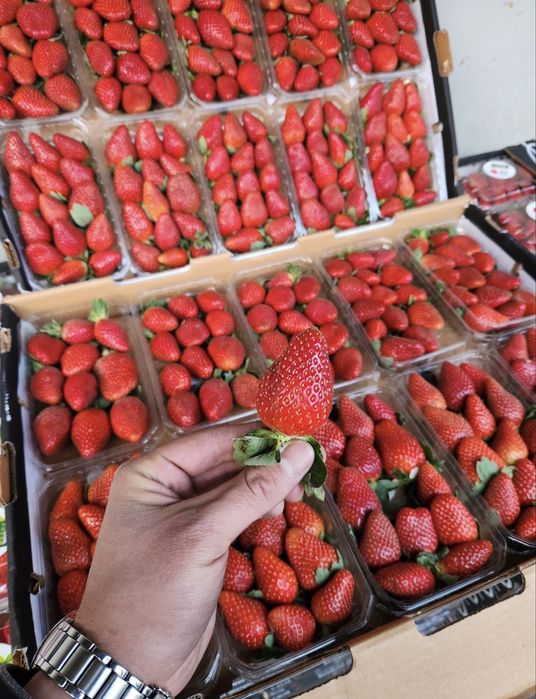 Клубника по 25тыс