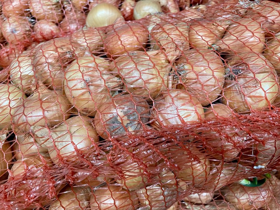 Vând ceapă galbenă pentru consum