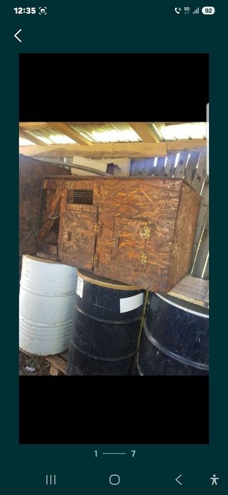 Vand cotete de iepuri