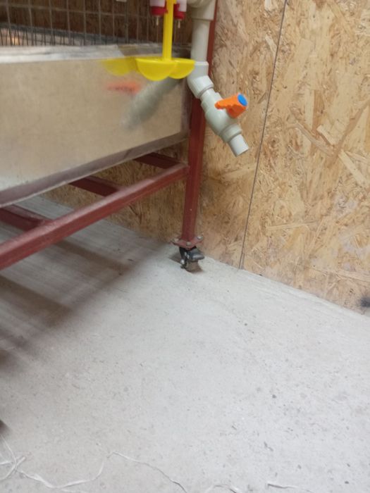 Клетки для перепелов и кур несушек