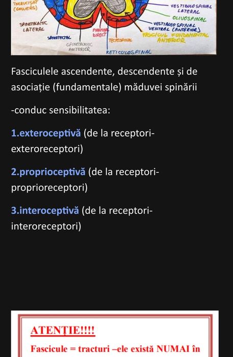 Meditații biologie bac