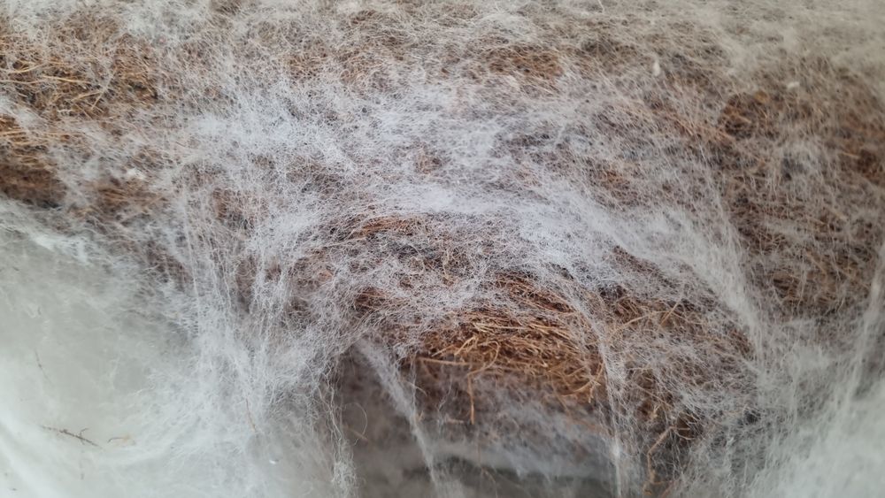 Saltea copii cocos 120x60