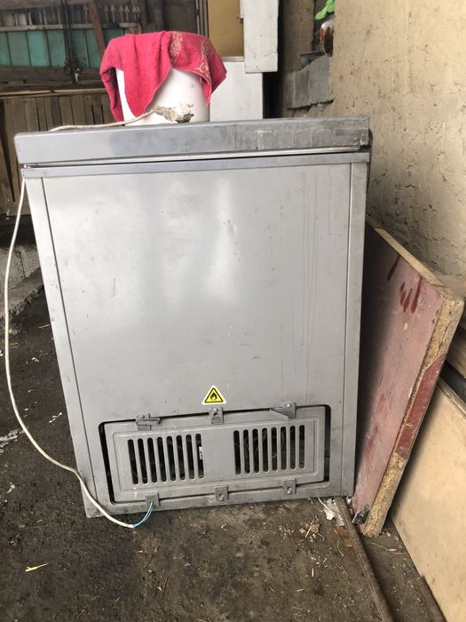 Маразильник орион