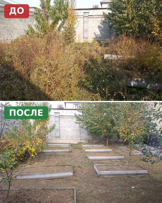 Покос травы, расчистка участка