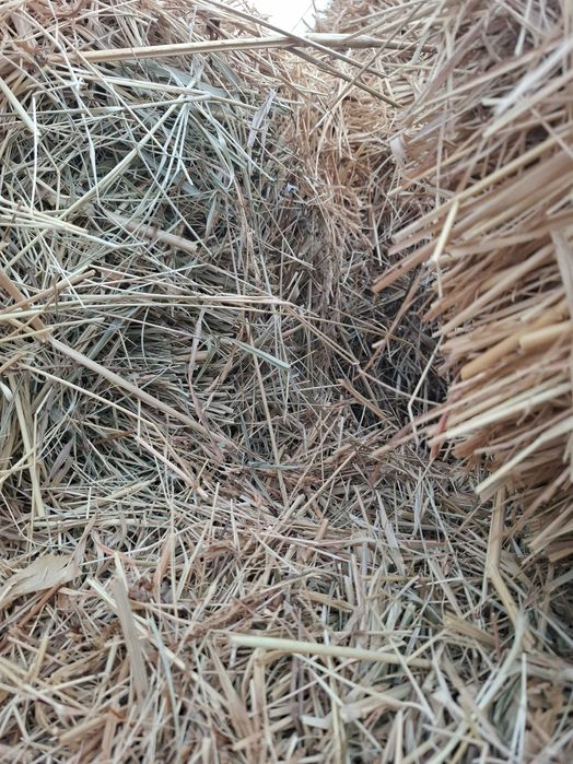 Ут, пресс. O't, press. Traktor press.