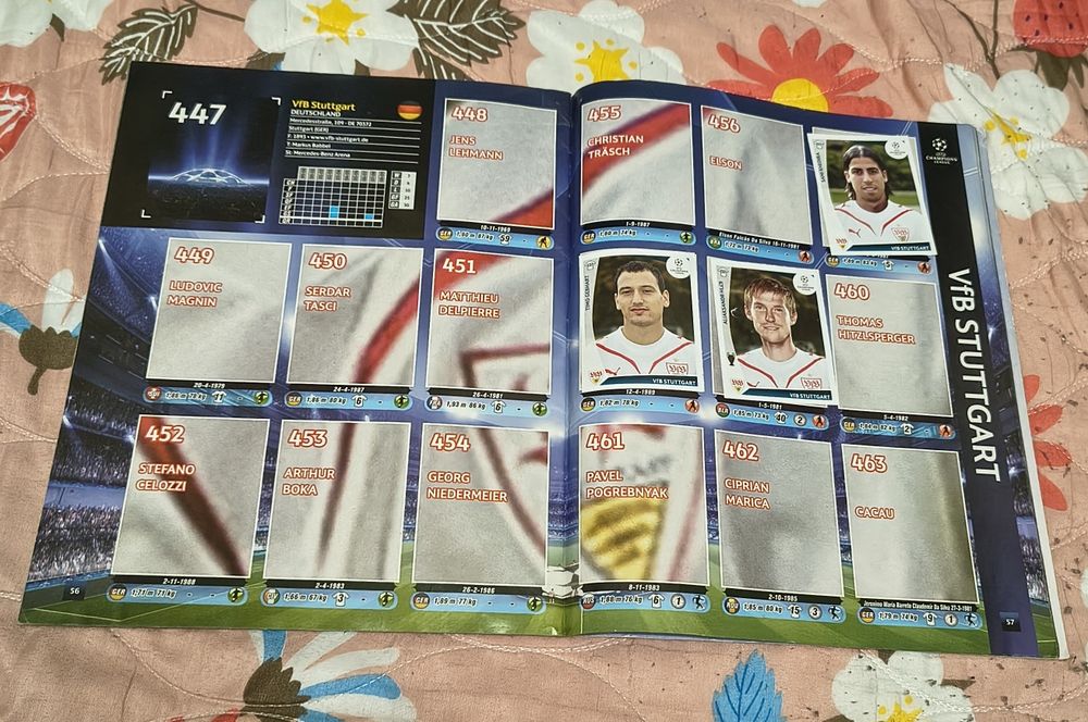 Albume UCL Panini