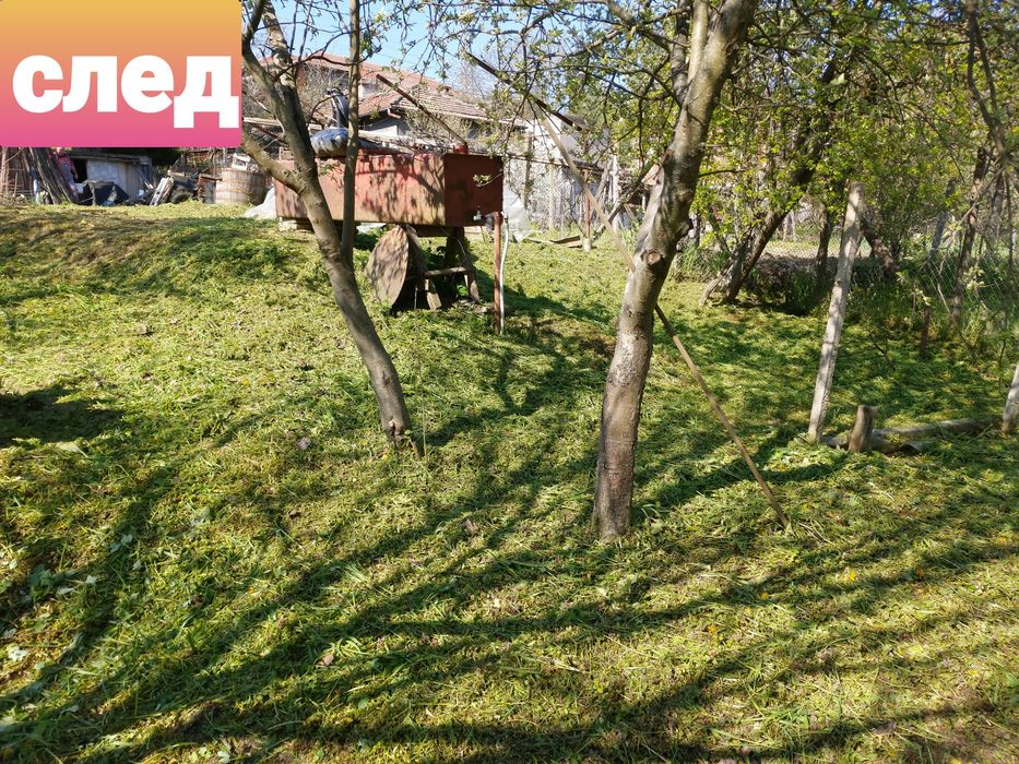 Косене на трева, поддръжка и почистване на тревни площи !