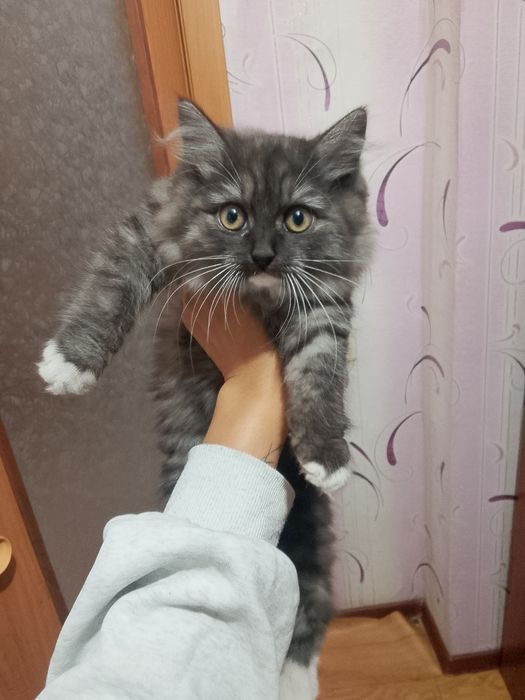 Мама с дочкой вместе