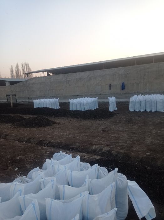 Biogomus chuvalchang