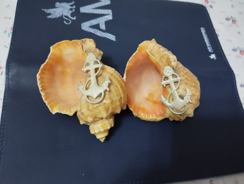 Ракушки для аквариума