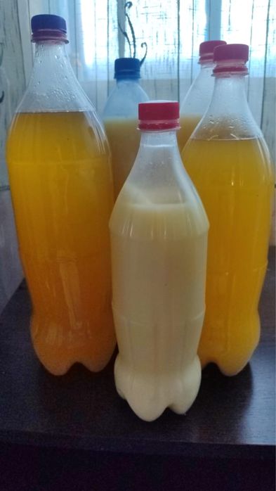 Продам гусиный жир