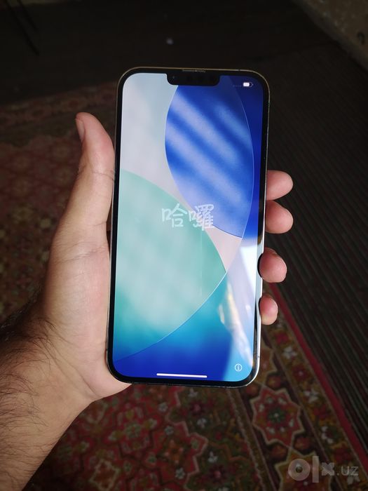 Iphone 13 pro max ideal
