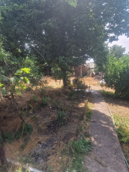 Участок с домом Ташкентская область