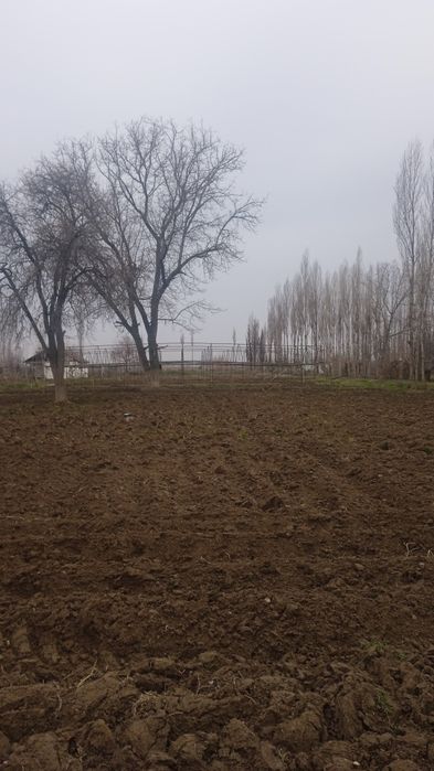 Uy sotiladi 2ta uchastka140 sotix