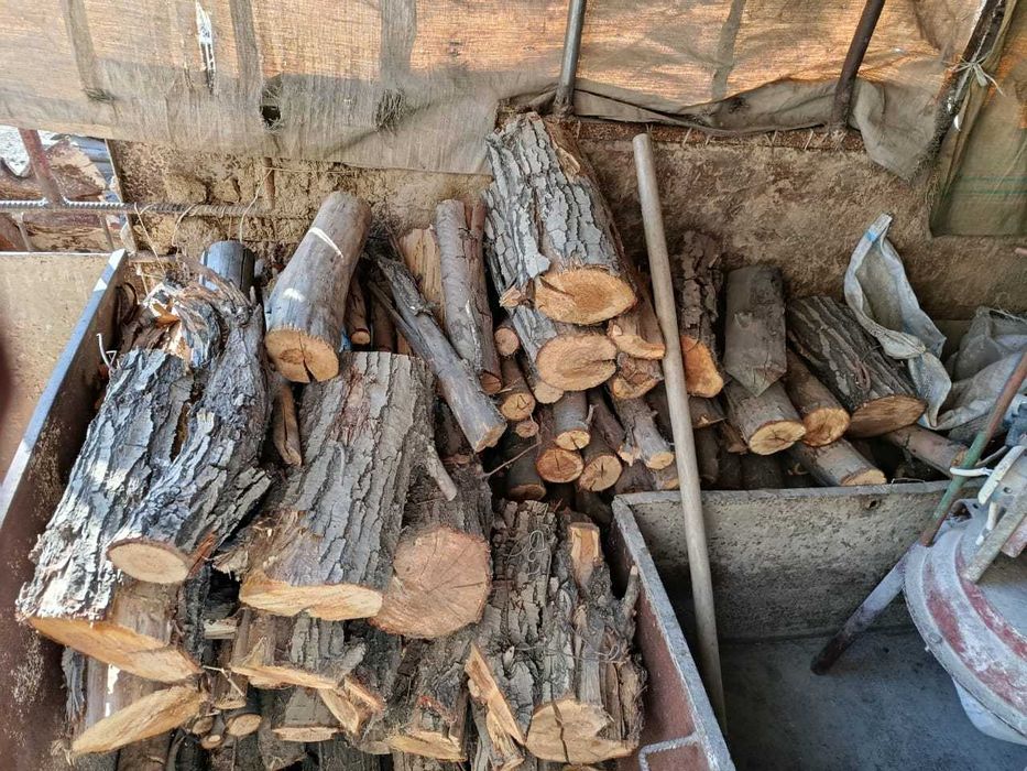 Дрова Тутовник,Урюк