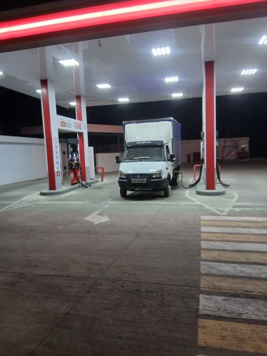 Gazel sotamiz gaz