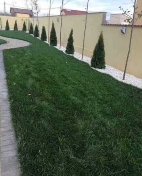 Gazon rulou Sisteme de Irigare si Insamantare