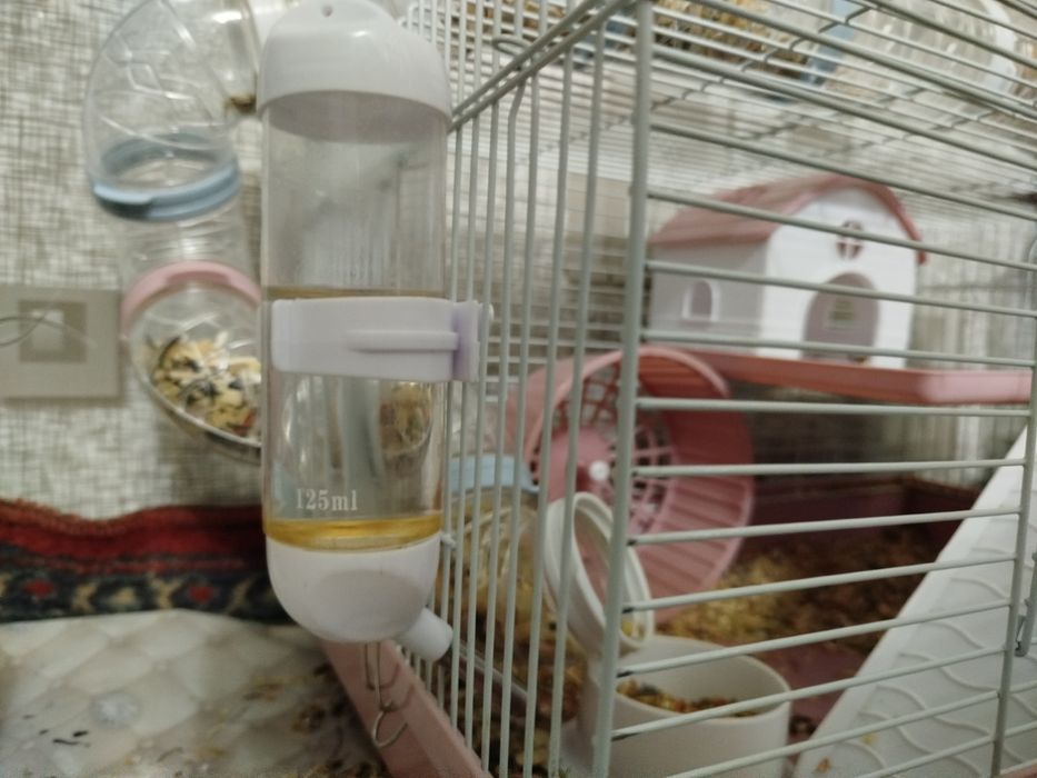 Хомяклар учун катта кафас