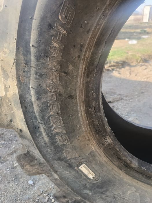 Дөңгелек катапиллер