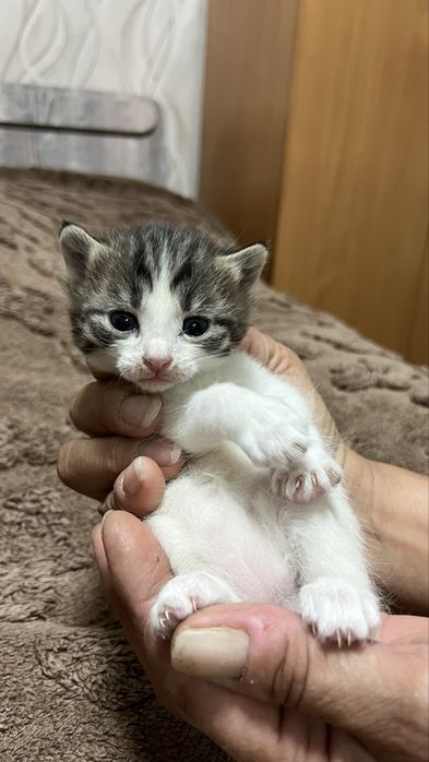 Хороший друг для Вас