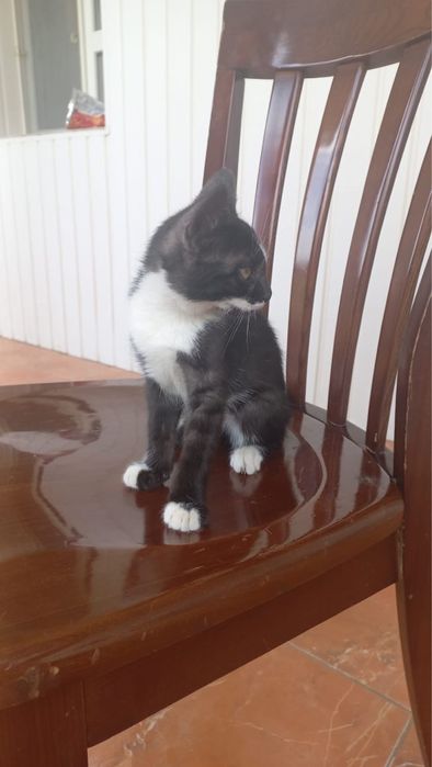 Счастье в ваш дом