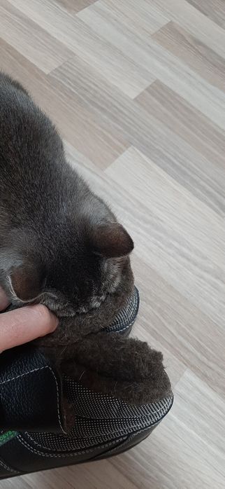 Ботинки рабочие зимние 44 размер