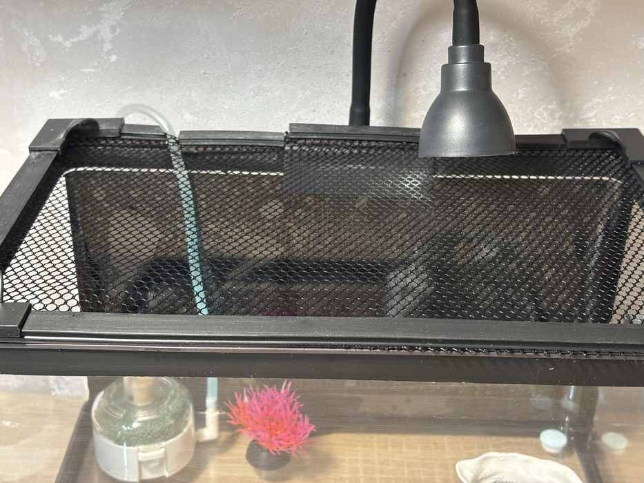 Аквариум 10 литров