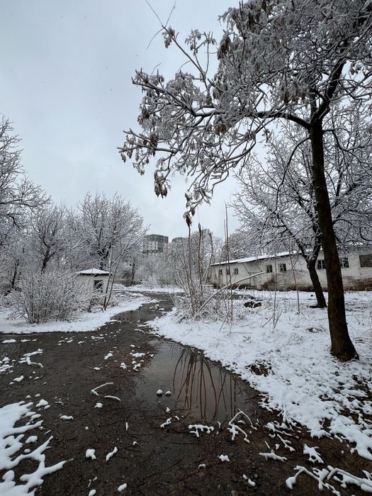 Срочно в продаже