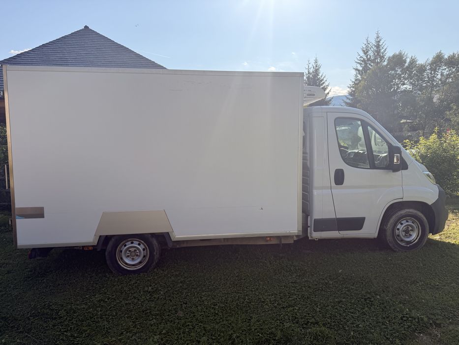 Fiat Ducato Frigorific 2.3 Multijet Diesel – 2015 (prima înmatriculare 2015) – 56.000 km