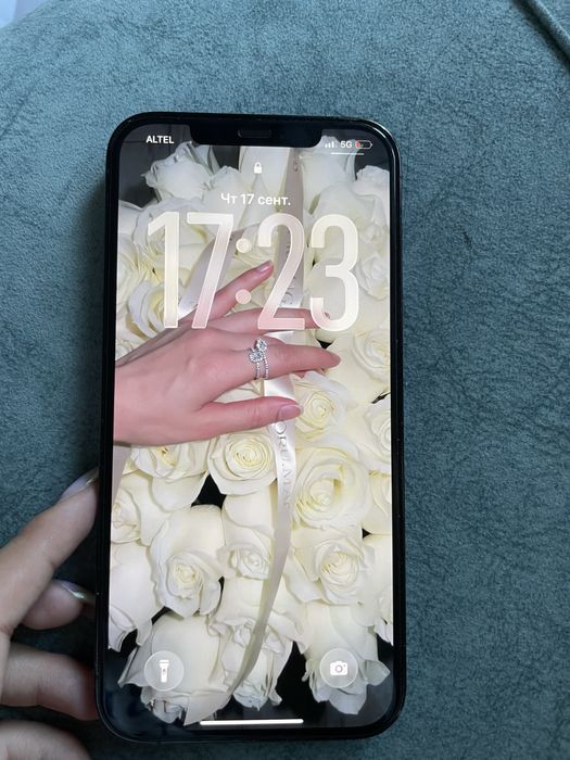 iPhone 12 pro max